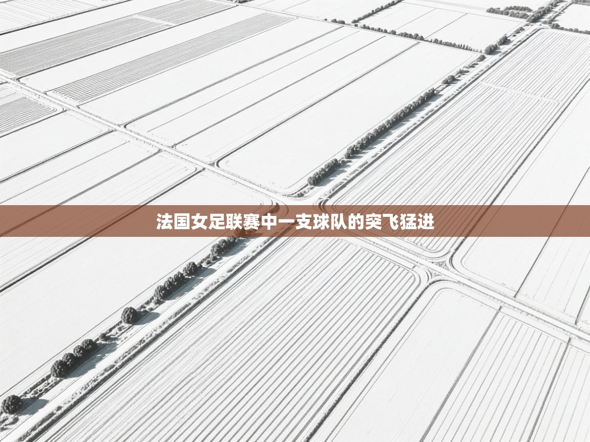 法国女足联赛中一支球队的突飞猛进