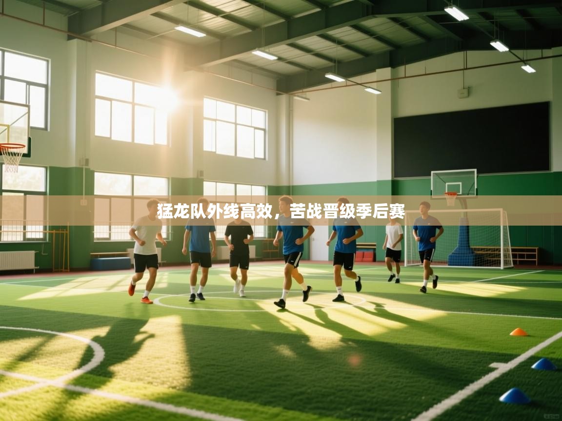 猛龙队外线高效，苦战晋级季后赛