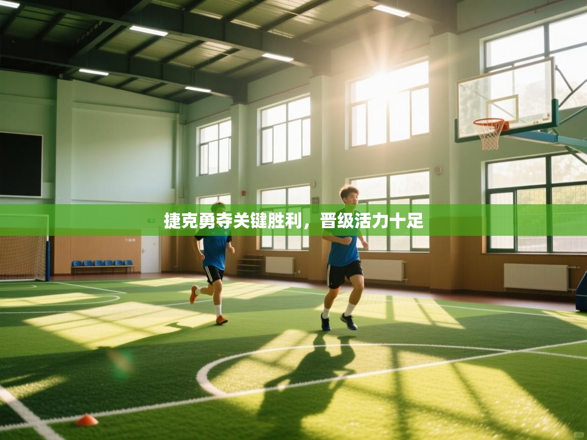 开云注册-捷克勇夺关键胜利，晋级活力十足  第2张