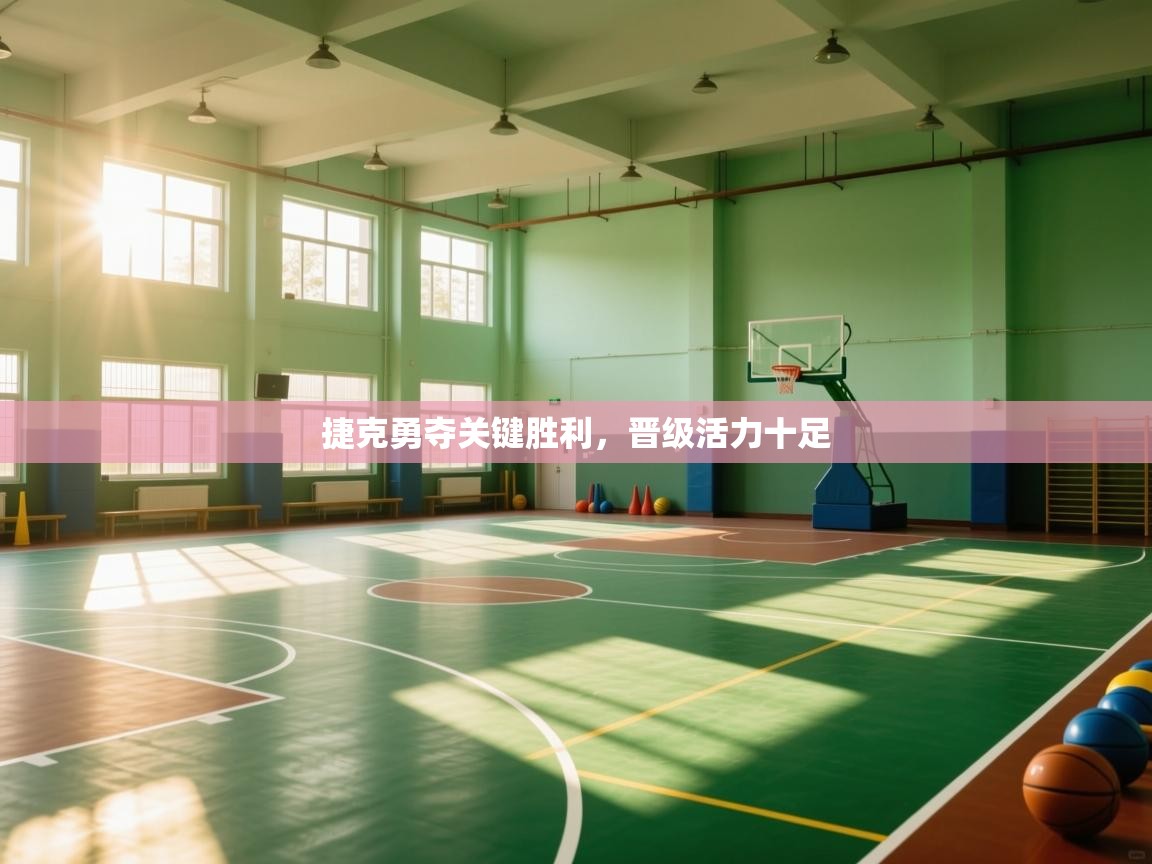 开云注册-捷克勇夺关键胜利，晋级活力十足  第4张