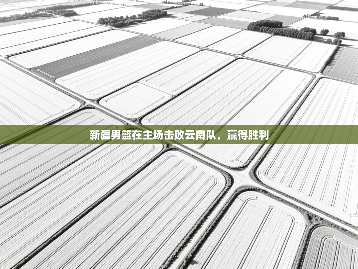 开云体育在线下载-新疆男篮在主场击败云南队，赢得胜利  第1张