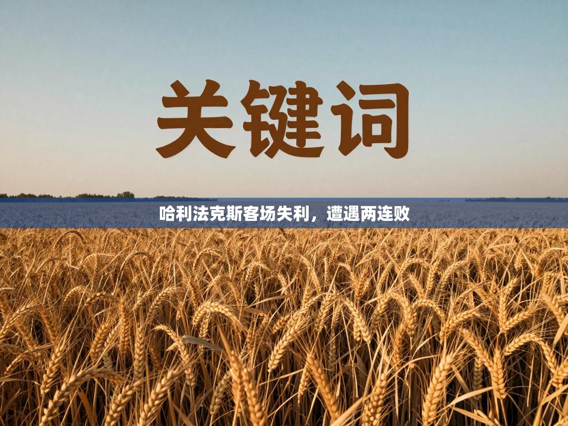 开云体育app下载官网-哈利法克斯客场失利，遭遇两连败  第4张