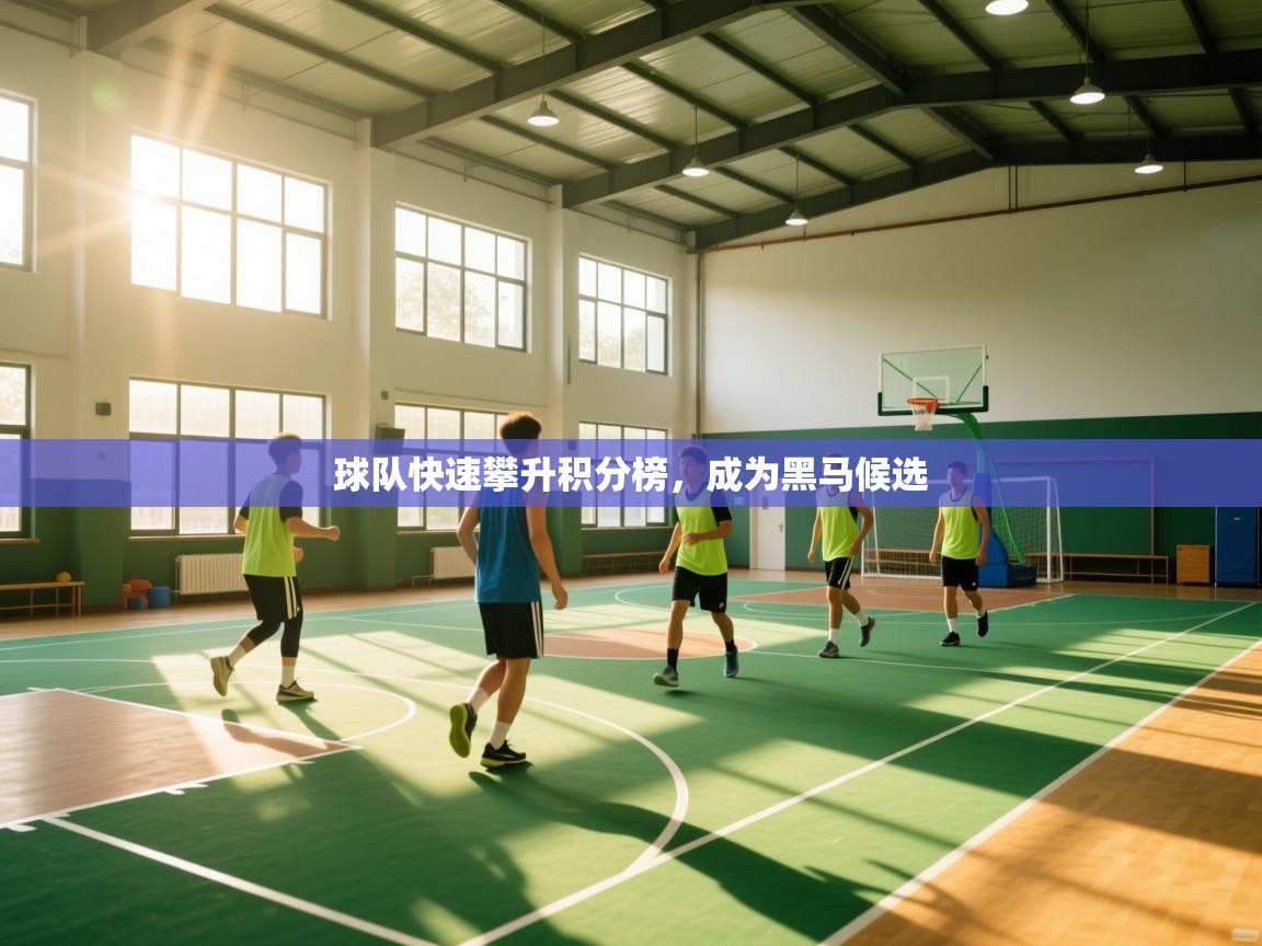 -球队快速攀升积分榜,成为黑马候选 第3张
