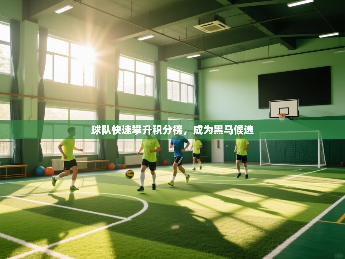-球队快速攀升积分榜,成为黑马候选 第4张