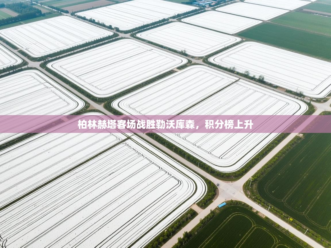 柏林赫塔客场战胜勒沃库森，积分榜上升