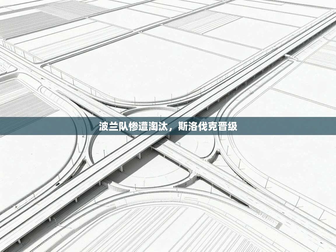 开云体育工单提交入口-波兰队惨遭淘汰，斯洛伐克晋级  第2张