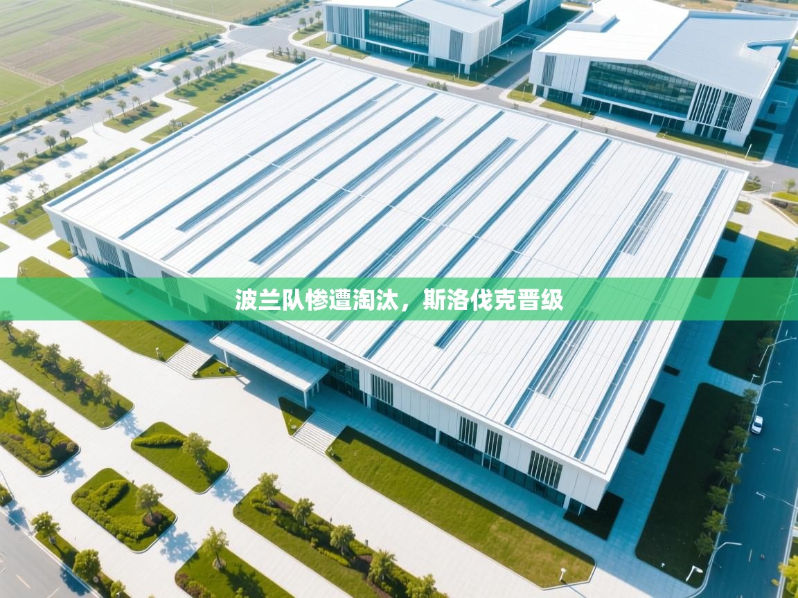 开云体育工单提交入口-波兰队惨遭淘汰，斯洛伐克晋级  第1张