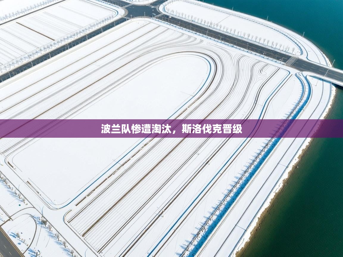 开云体育工单提交入口-波兰队惨遭淘汰，斯洛伐克晋级  第3张